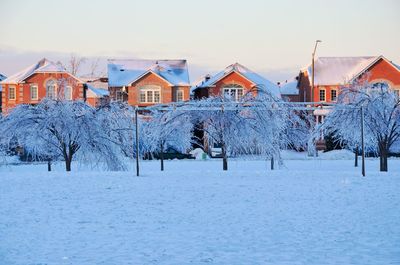 Trees on snow covered field by houses against sky
