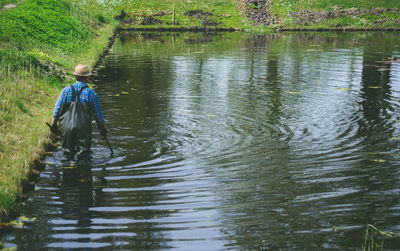Reflection of trees in water
