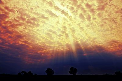 Silhouette of trees against cloudy sky