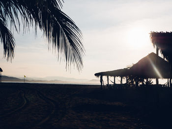 Palm trees on beach