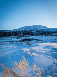 Scenic view of frozen lake against clear blue sky