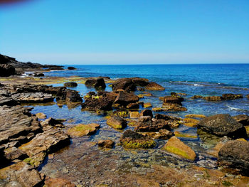 Scenic view of sea against clear blue sky