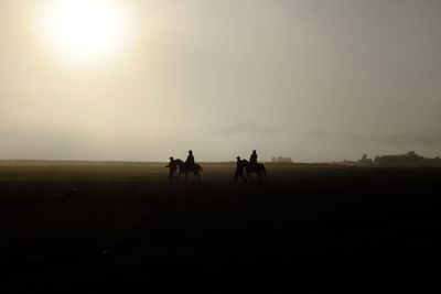 Silhouette people riding horses on field against sky during sunset