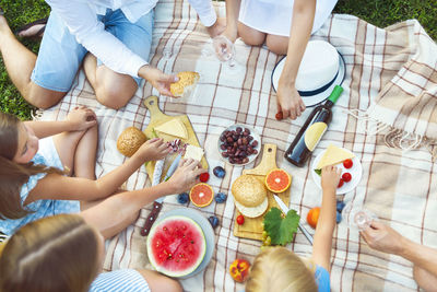 High angle view of people sitting by food over picnic blanket