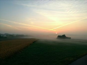 Scenic view of field against sky during sunset