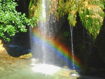 Scenic view of rainbow over lake in forest