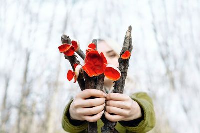 Close-up of woman hand holding red mushrooms against trees