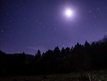 Scenic view of silhouette trees against sky at night