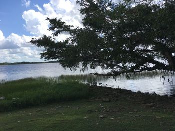 Scenic view of river against sky