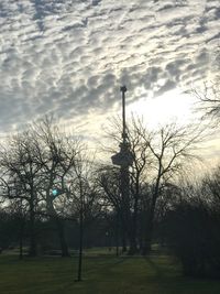 Trees against sky