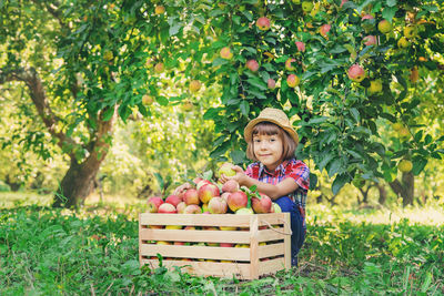 Portrait of smiling cute girl with crate of apples sitting against trees