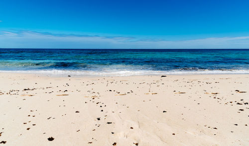 Scenic view of beach against blue sky