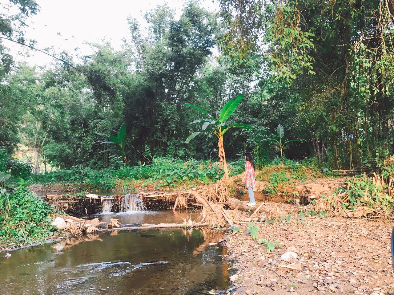 tree, water, plant, nature, forest, day, growth, beauty in nature, land, tranquility, scenics - nature, real people, outdoors, non-urban scene, reflection, green color, lake, tranquil scene, waterfront, flowing water