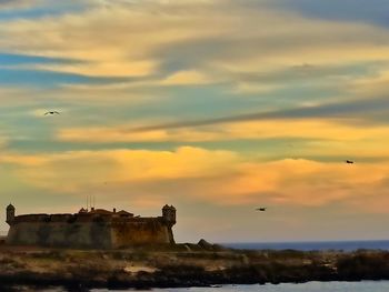 Seagull flying over building against sky during sunset