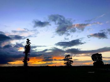 Silhouette trees on field against sky at sunset