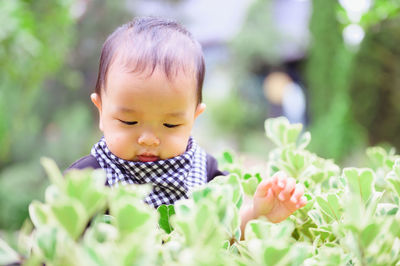 Cute boy with sitting amidst plants outdoors