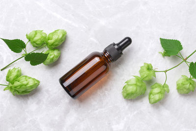 Aromatic or essential oil in bottle with fresh hop cones on a marble background