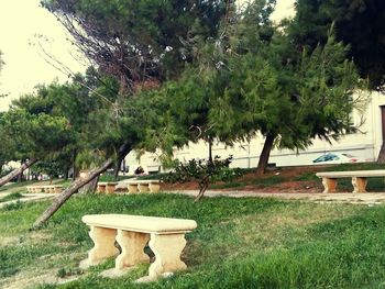 View of swimming pool against trees