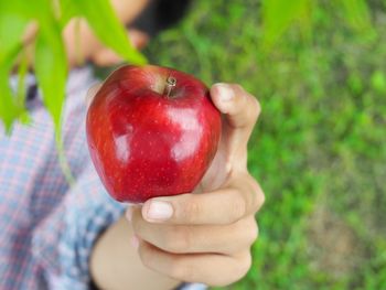 Close-up of woman holding apple