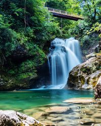 Scenic view of waterfall in forest