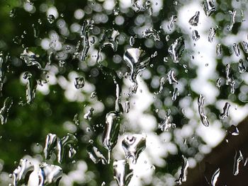 Full frame shot of wet plants during rainy season