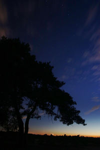 Low angle view of silhouette trees against sky at night