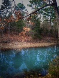 Reflection of trees in lake against sky