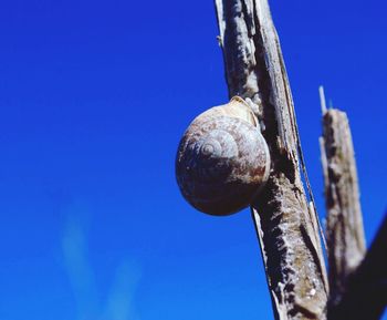 Close-up of blue sky