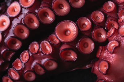 High angle closeup of fresh octopus tentacles with red suckers placed on dark table