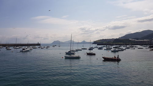 Sailboats moored in sea against sky