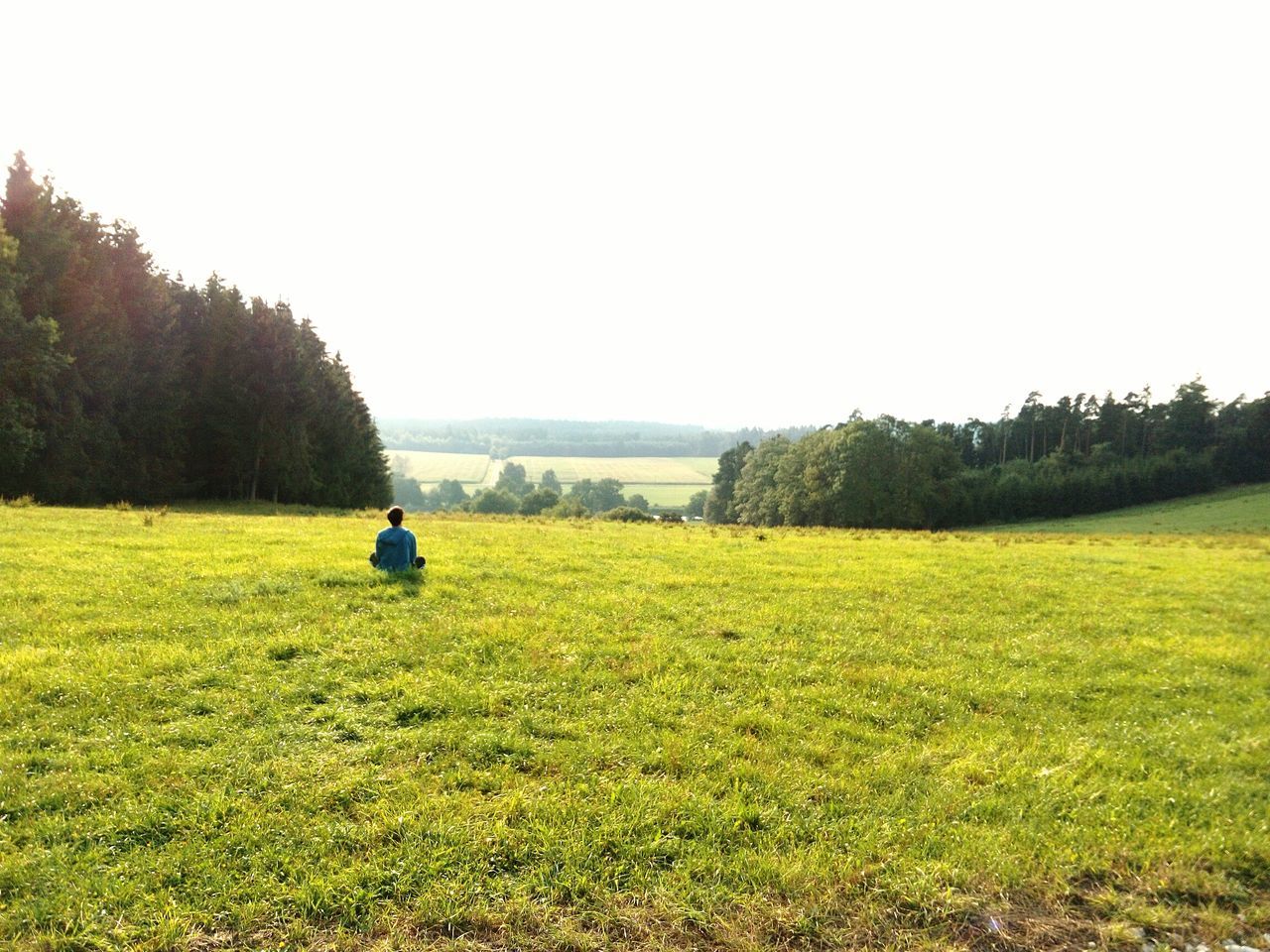 grass, clear sky, field, tranquility, tranquil scene, lifestyles, leisure activity, tree, copy space, rear view, landscape, beauty in nature, nature, green color, scenics, men, grassy, growth