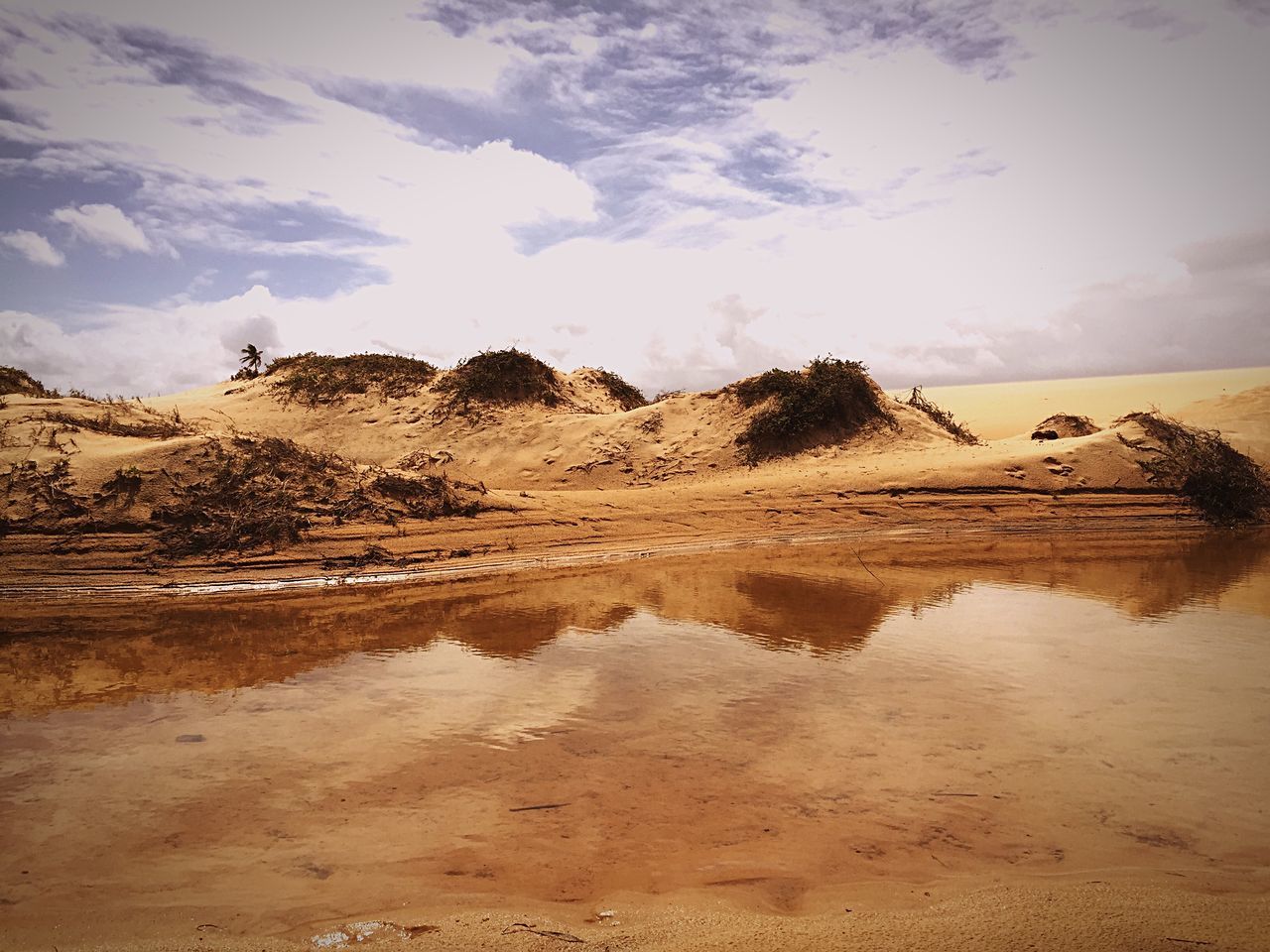 Foz do Rio São Francisco