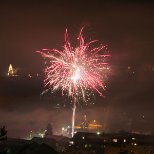 Firework display at night