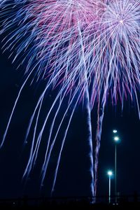 Firework display at night