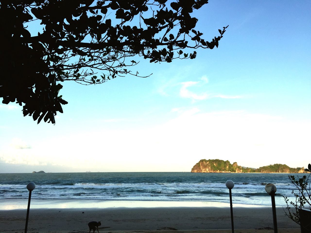 sea, horizon over water, water, beach, scenics, tranquility, tranquil scene, beauty in nature, sky, shore, nature, tree, idyllic, blue, outdoors, incidental people, remote, sand, branch, railing