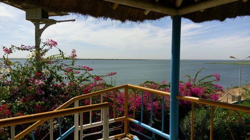 Plants by sea against sky seen from balcony