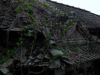 Low angle view of spider web against built structure