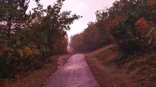 Empty road amidst trees during autumn