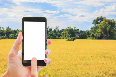 Cropped hands holding smart phone over field against cloudy sky