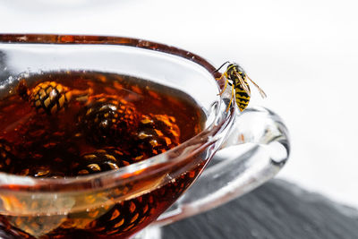 Close-up of tea served on table