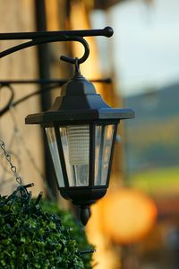 Close-up of lantern hanging on street light