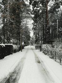 Snow covered trees against sky