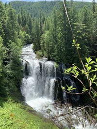 Scenic view of waterfall