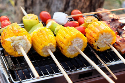 Close-up of fruits on barbecue grill
