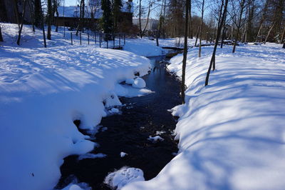 Snow covered field by trees