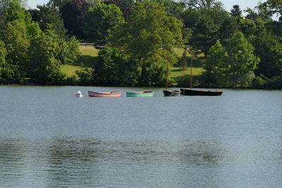 Scenic view of lake against trees