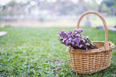 Close-up of flowers in basket