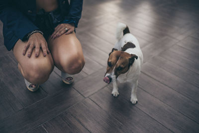 Low section of young woman crouching by dog on hardwood floor