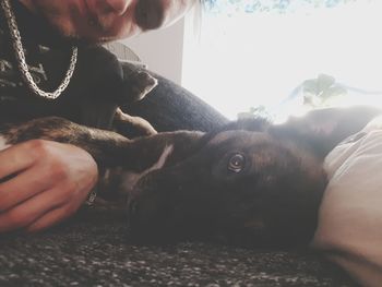 Close-up of woman with dog at home