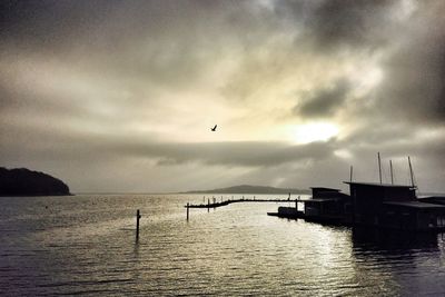 Silhouette birds flying over sea against dramatic sky